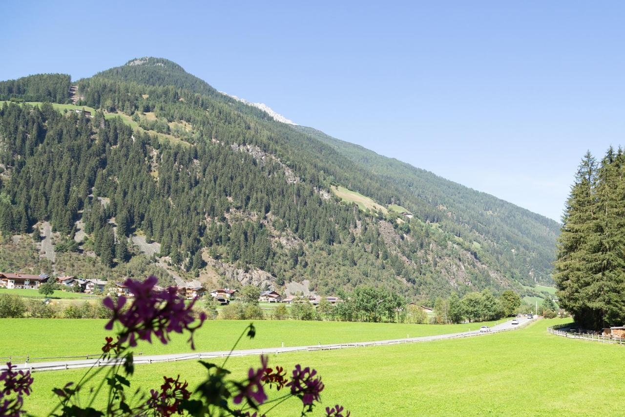 Pension Peter Neustift im Stubaital Bagian luar foto